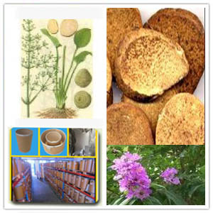 Oriental waterplantain rhizome extract