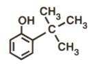 Ortho-tert-Butylphenol (OTBP)