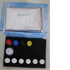 PTH ELISA Kit