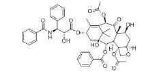 Paclitaxel (Taxol)