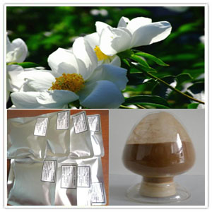 Paeonia Extract