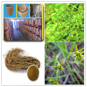 Paniculate Swallowwort Root Extract