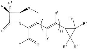 Parent nucleus of Cefditoren(7-AMTCA)