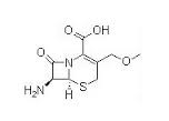 Parent nucleus of Cefpodoxime