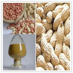 Peanut Shell Extract