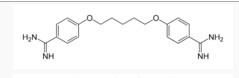 Pentamidine