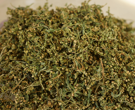 Penthorum chinense Pursh Extract