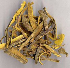 Phellodendron bark Extract