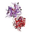 Phi29 DNA Polymerase