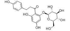 Phloridzin