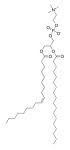 Phosphatidylcholine