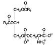 Phosphatidylserine