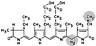 Phycoerythrin