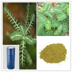 Phyllanthus Amarus Extract