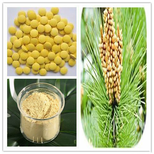 Pine pollen extract