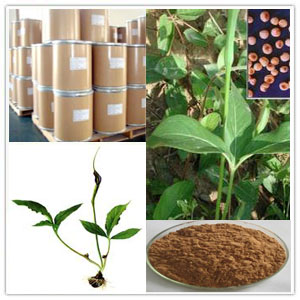 Pinellia Tuber Extract