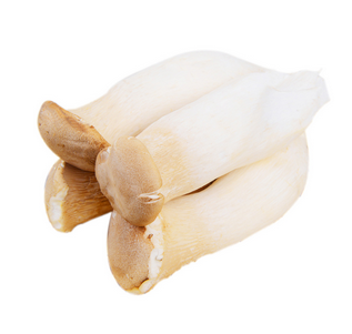 Pleurotus Eryngii Extract