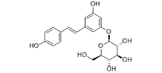 Polydatin