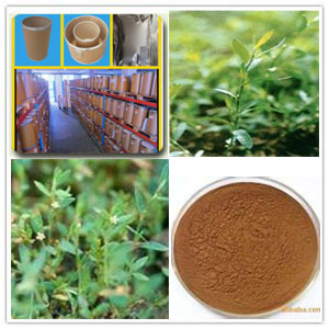 Polygonum aviculare extract