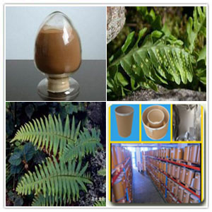 Polypodium leucotomos extract