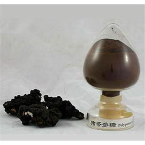 Polyporus Umbrellatus Extract