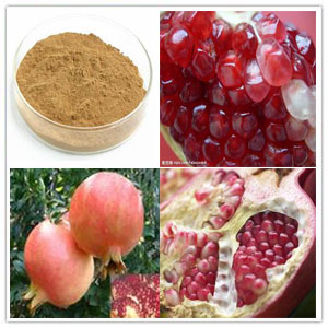 Pomegranate Extract