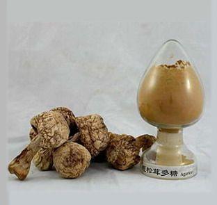 Poria Cocos Extract