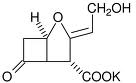 Potassium Clavulanate