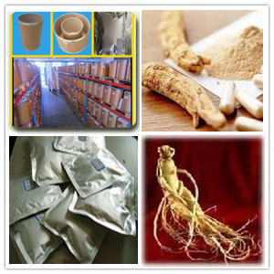 Powdered Asian Ginseng Extract