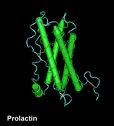 Prolactin