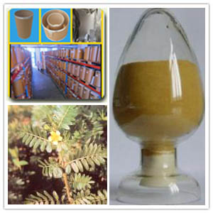 Protodioscin Extract