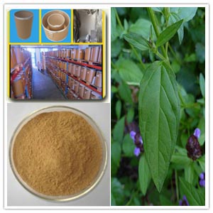 Prunella Vulgaris Extract