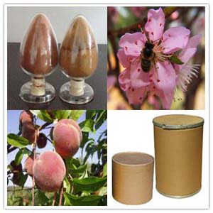 Prunus Persica flower extract