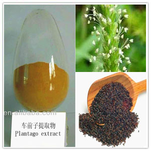 Psyllium Extract