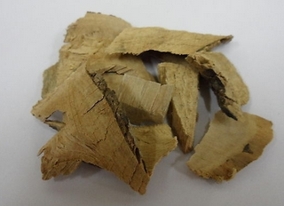 Pubescent Holly Root Extract