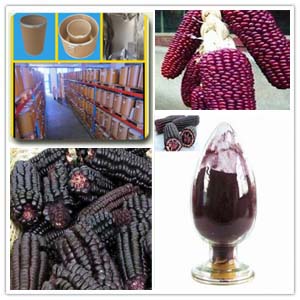 Purple Corn Extract