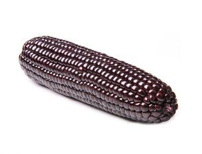 Purple Corn Seed Extract