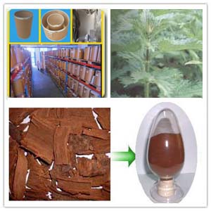 Pygeum Africanum Extract