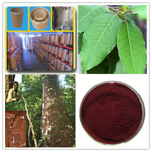 Pygeum Extract