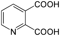 Quinolinic acid