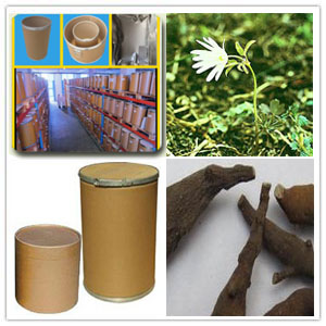 Radde Anemone Rhizome Extract