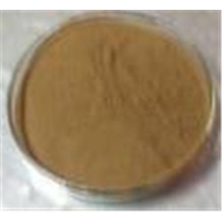 Radix Rehamannia Glutinosa Extract