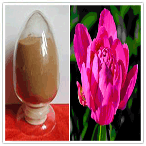 Red Peony Extract