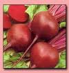 Red beetroot colorant E162