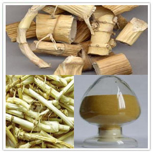 Reed rhizome extract