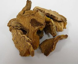 Rhizoma Cibotii Extract