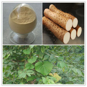 Rhizoma Dioscorea Opposita extract