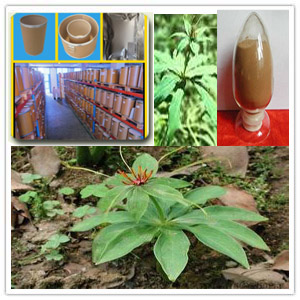 Rhizoma paridis extract