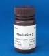 Rhodamine B-500%