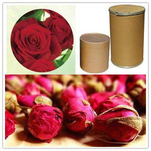 Rose Extract